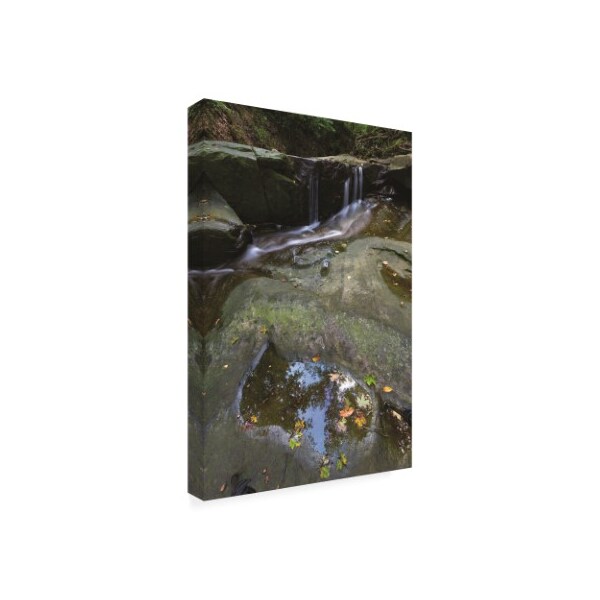 Kurt Shaffer 'Reflecting By The Waterfall' Canvas Art,30x47